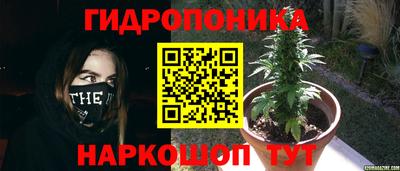 кокс Заводоуковск