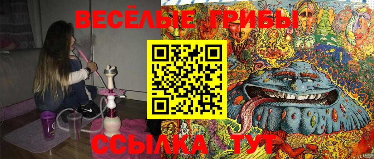 Мелеуз  Псилоцибиновые грибы Cubensis  Вход с VPN  Галлюциногенные грибы прущие грибы 